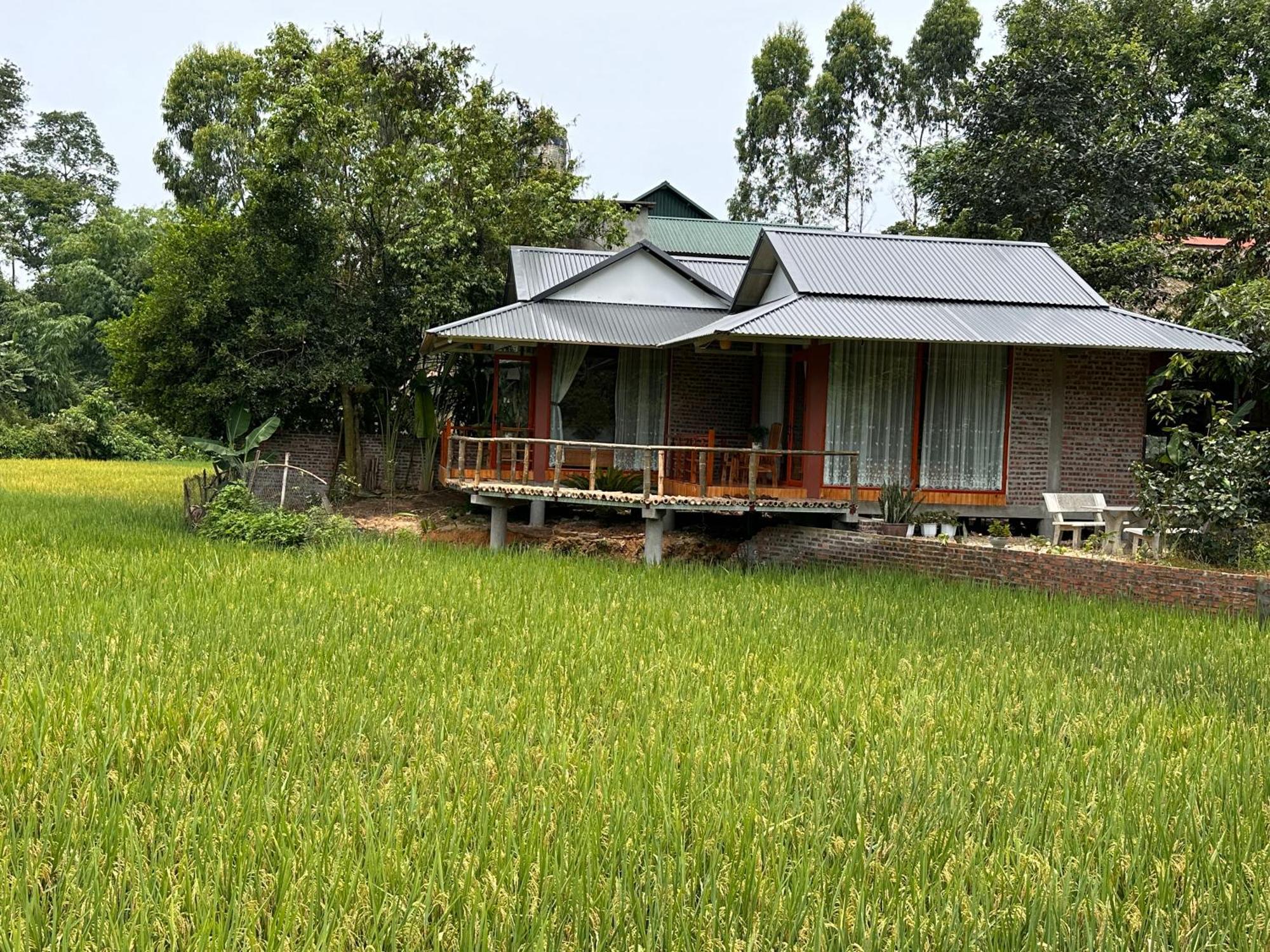Vulinh Family -homestay