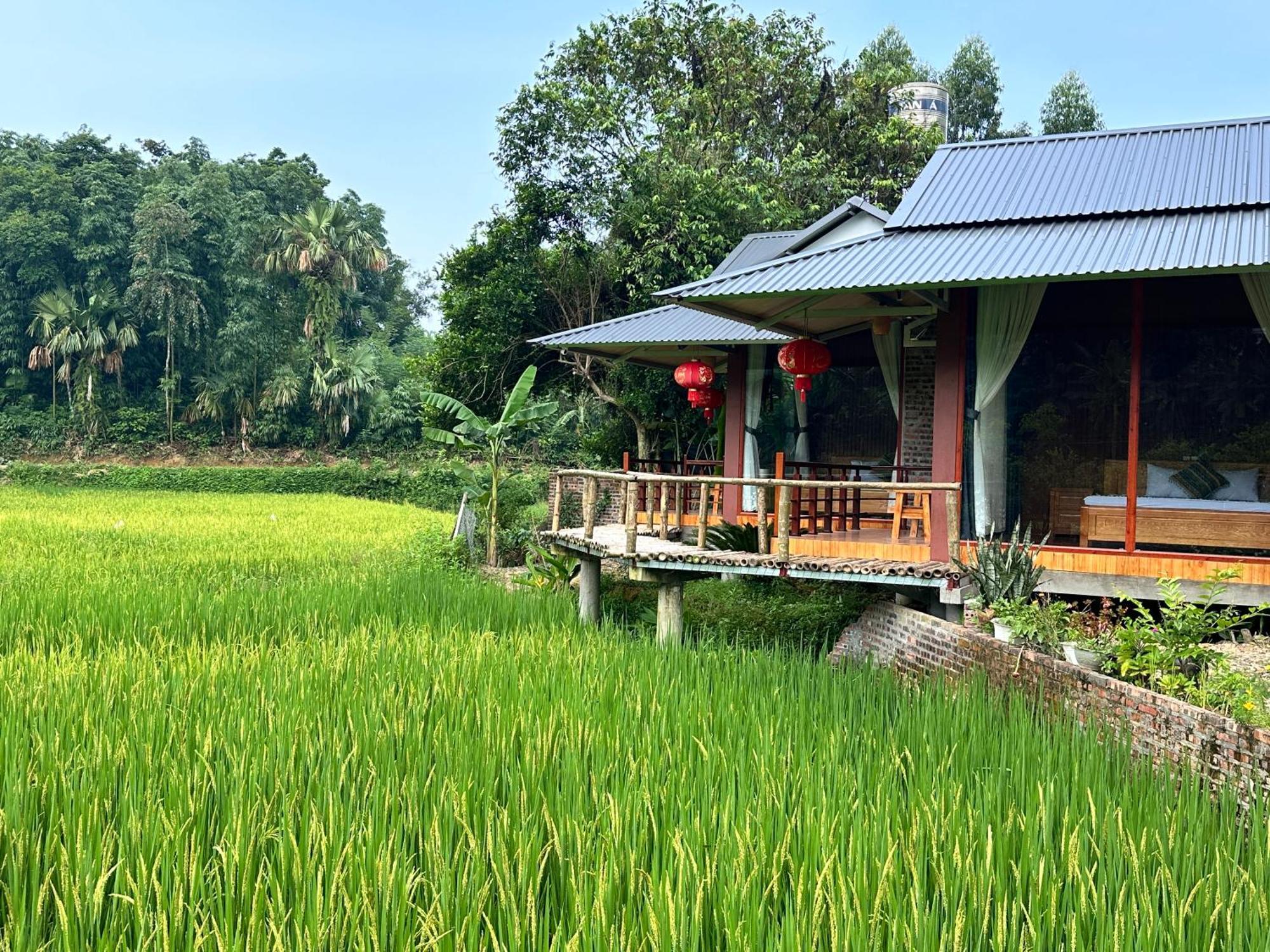 Vulinh Family -homestay * Yen Binh